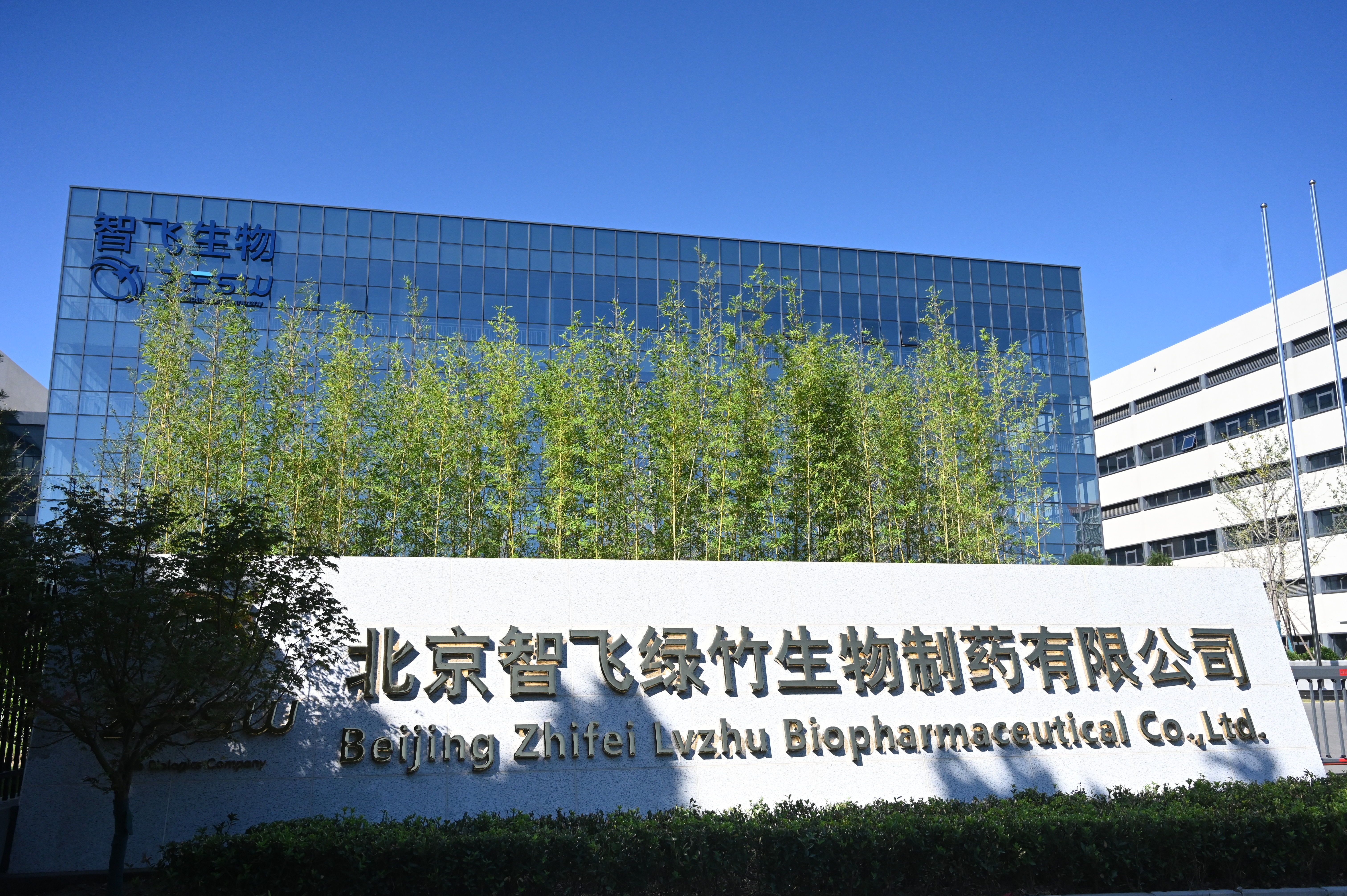 智飛生物獲美國(guó)及歐洲發(fā)明專利授權(quán)，加速全球化創(chuàng)新布局